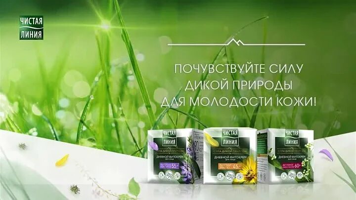Выбери чистую линию