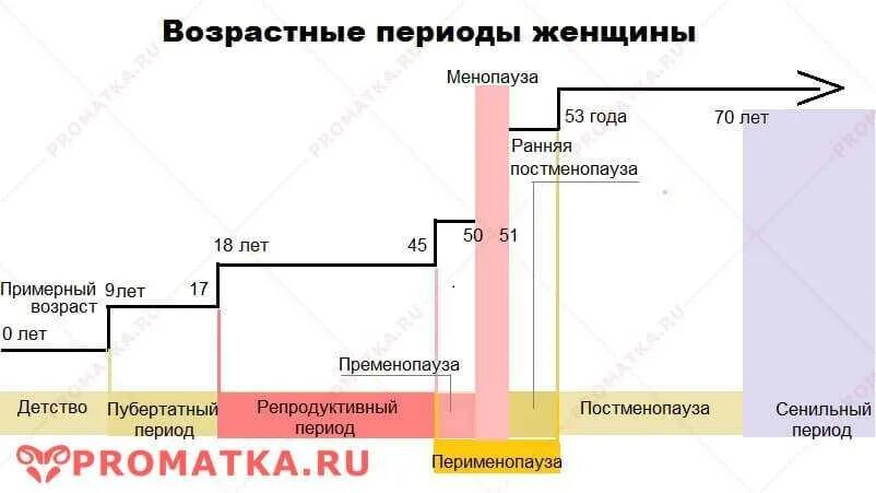 Возрастные периоды женщины. Возрастные периоды жизни женщины. Периоды в гинекологии возрастные. Возрастная периодизация женщин.