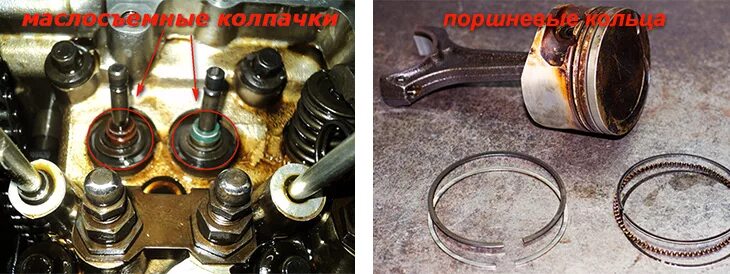 Маслосъёмные колпачки ваз 2107. Маслосъемные колпачки qg18de. Дымит маслосъемные. Дымит маслосъемные. Дымит маслосъемные.