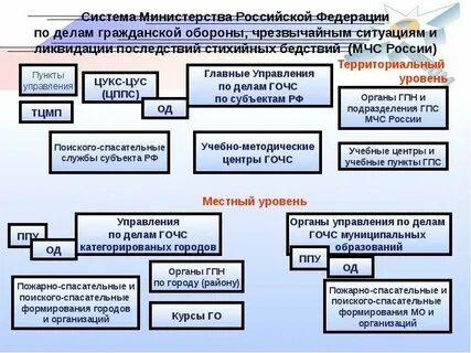 Перечислите основные органы управления