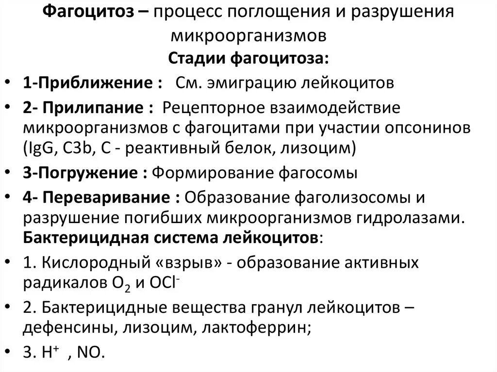 Стадии фагоцитоза воспаление. Процесс фагоцитоза. Фагоцитоз это процесс поглощения. Процесс фагоцитоза по стадиям.