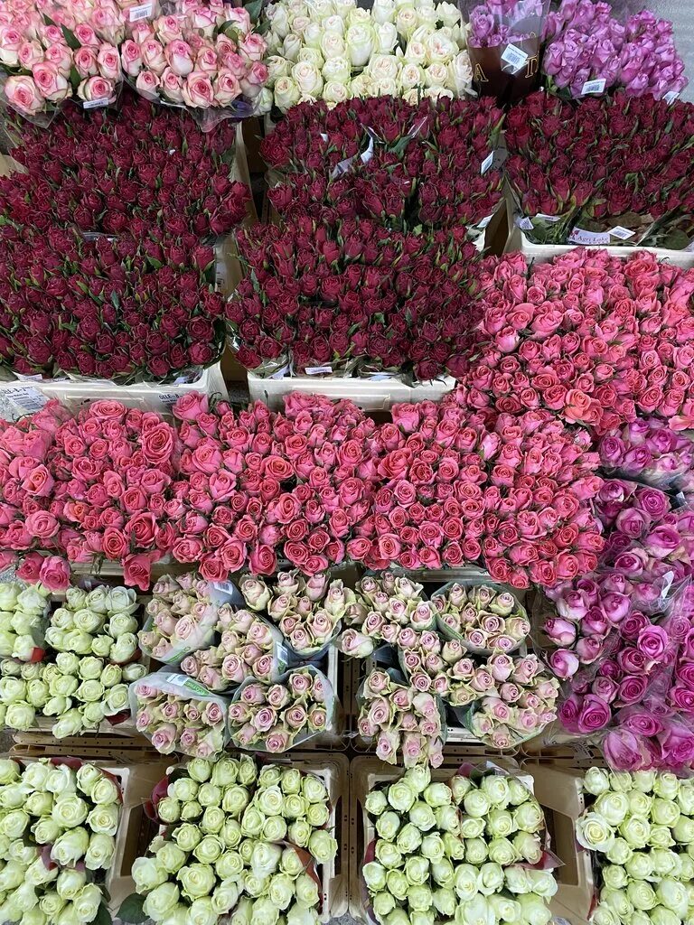 Вб маркет. Оптовый цветочный склад. Цветочный рынок Тбилиси. Цветочный рынок Макеевка. Цветочный рынок Симферополь.