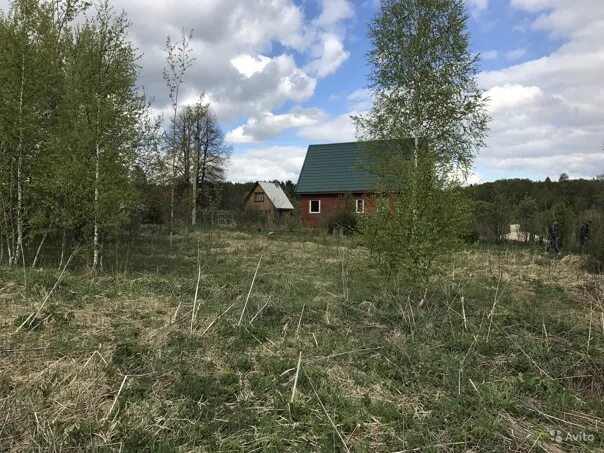 Байденка. Байденка. Тульская область серпухов. Елинка. Байденка.