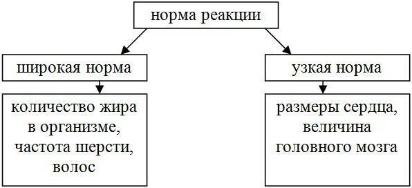 Норма реакции это пределы в которых. Норма реакции примеры у человека. широкая норма реакции примеры. узкая норма реакции 2) широкая норма реакции. узкая норма реакции и широкая норма реакции примеры.