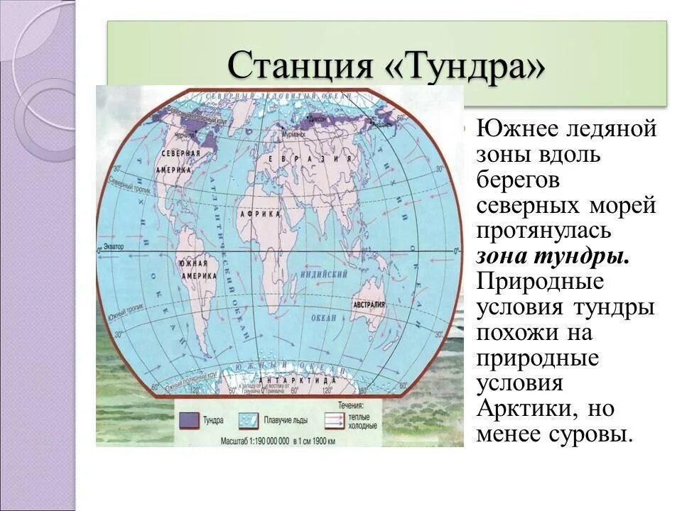 Пустыни расположенные в северном полушарии