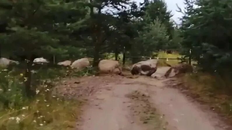 Трагедия на шотозере новости. Трагедия на шотозере новости. Озеро шотозеро карелия. Шотозеро рыбалка. Трагедия на шотозере новости.