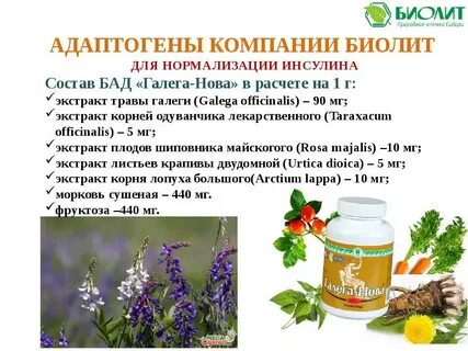 Адаптогены