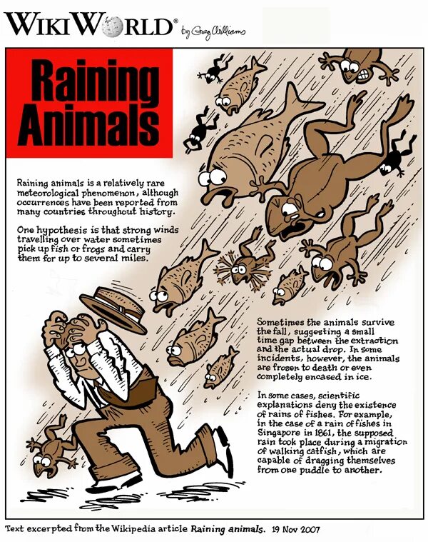 Дождь из животных. Raining animals. дождь из жаб библия. rain of animals. raining animals phenomena.