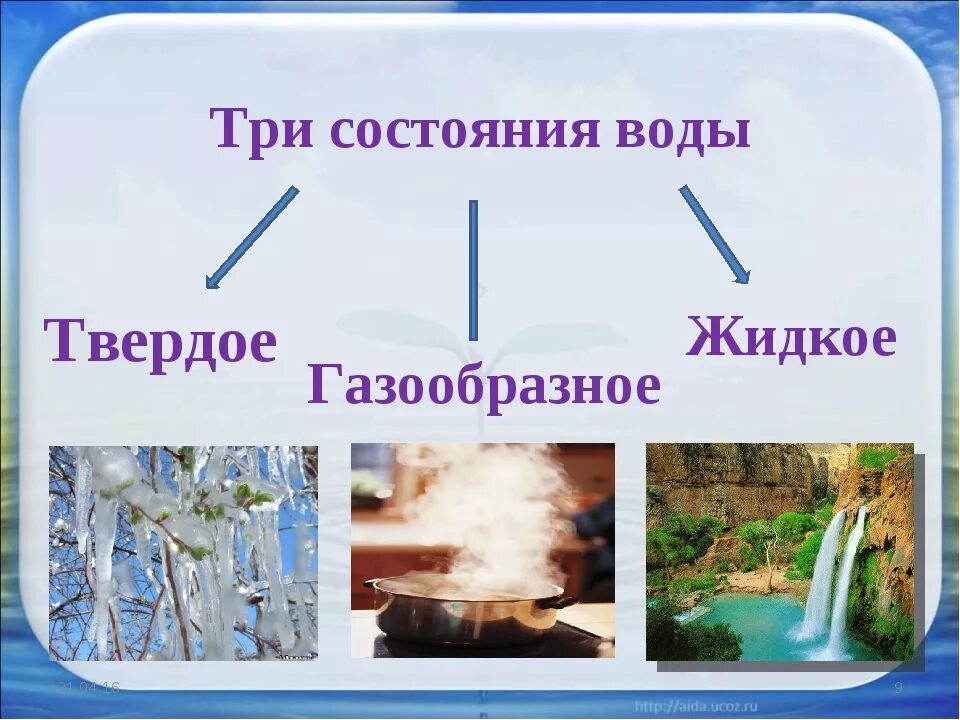 Вода в твердом и газообразном состоянии. 3 Состояния воды. Состояние воды в природе. Три состояния воды в природе. Три состояния воды схема.