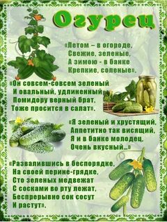 Детские стихи про овощи для детского сада