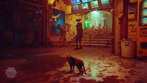 Stray игра отзывы