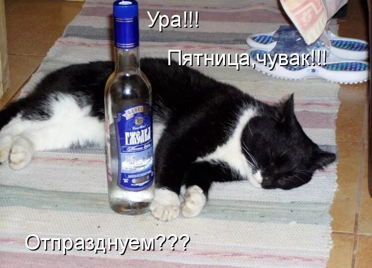 Вечер пятницы. Можно в пятницу ночью. Пятница спортзал. Пятница вечеринка. Можно расслабиться.