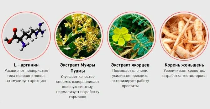 Продукты для улучшения мозгового кровообращения. Травы повышающие тестостерон. Растительные препараты в аптеке. Травы повышающие потенцию. Растения для поднятия тестостерона.