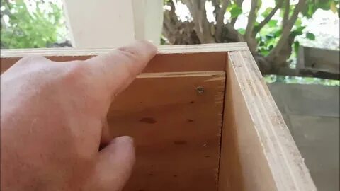Отверстие в улье для влета