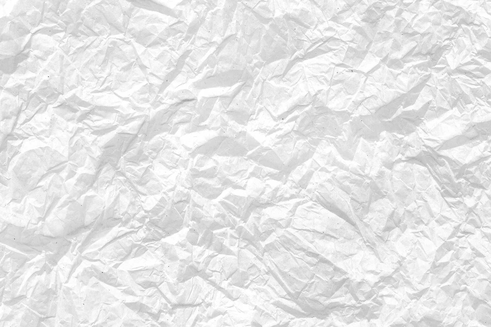 White paper это