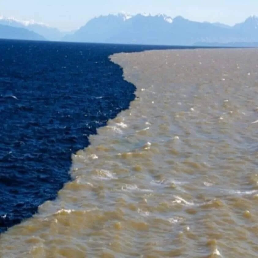 Галоклин Скаген. Граница Тихого и Атлантического океана. Два моря. Граница двух океанов.