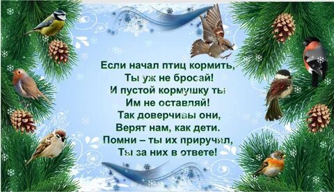 Короткие стихи про птиц