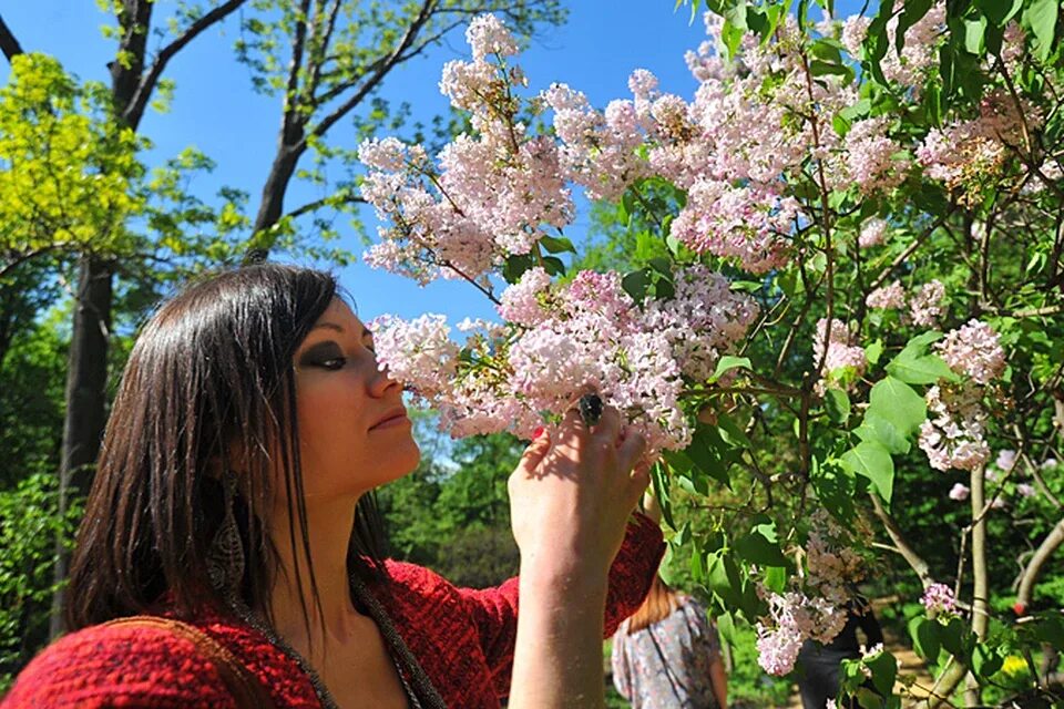 Фото девушки в цветущем саду. Один раз в год сады цветут фотосессия. Цветущие сады России люди. Когда цветет сирень в Москве.