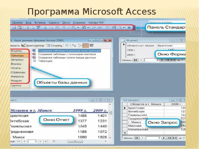 Запрос данных для приложения. База данных Майкрософт. База данных MS access. Microsoft access 2007 СУБД. Макрософт база данных програма.
