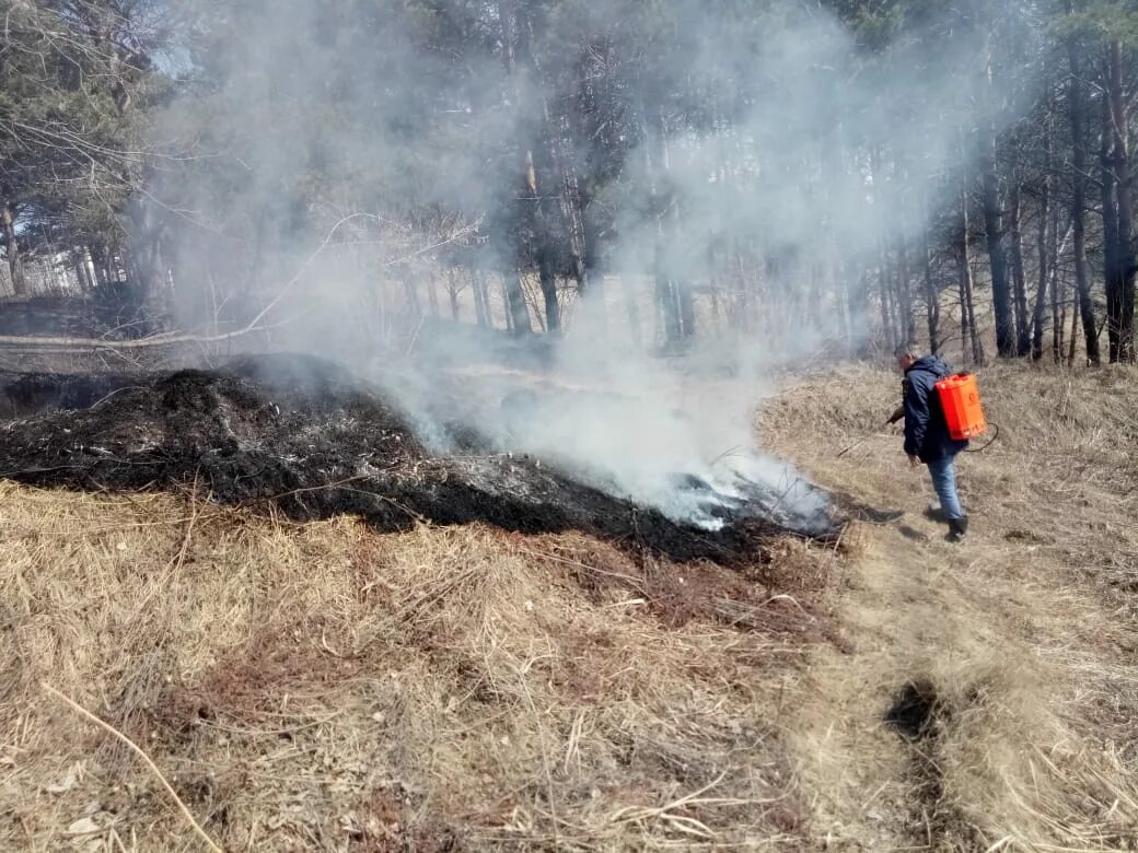гора столовая кейптаун пожар. лесные пожары в алтайском крае. лесные пожары. пожар в большом толкае. пожар в ветреную погоду.