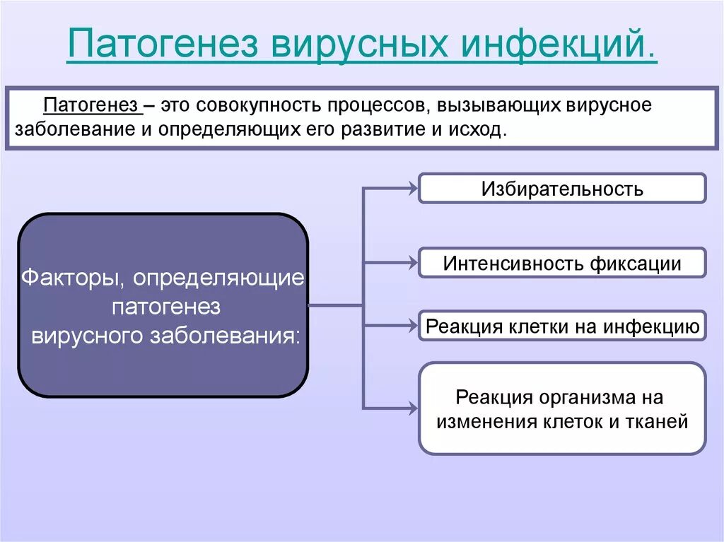 Тест вирусные инфекции