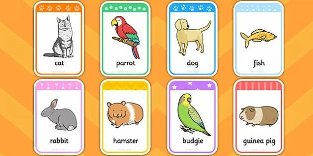 Как по английски хомяк. Карточки животные на английском. Pets на английском для детей. Animals for Kids карточки. Животные на английском для малышей.