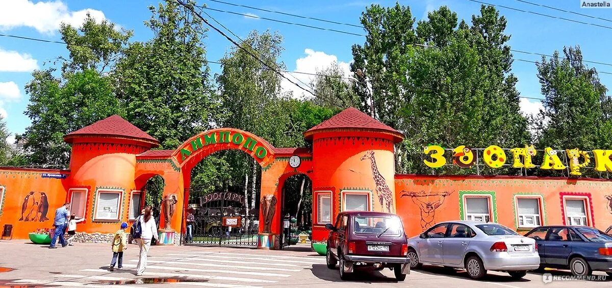 Зоопарк лимпопо. Нижегородский зоопарк. Лимпопо нижний новгород парковка. Лимпопо вакансии нижний новгород. Лимпопо нижний новгород.