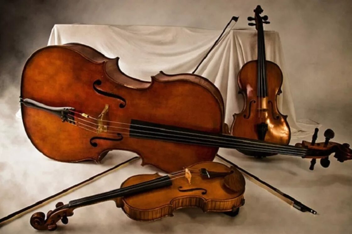 Инструмент струнный квартет скрипка 2 Альта и виолончели. Струнный квартет скрипка виолончель. Квартет струнных смычковых инструментов. Виола струнные смычковые музыкальные инструменты.
