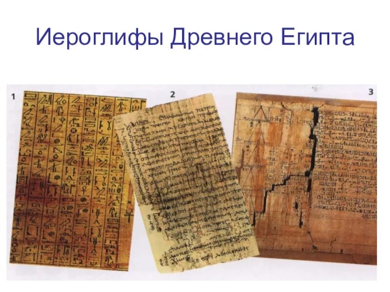 Письменные источники древнего египта. Лекарствоведение в древнем египте. Письменные источники древнего египта. Письменность древнего египта. Письменные исторические источники.
