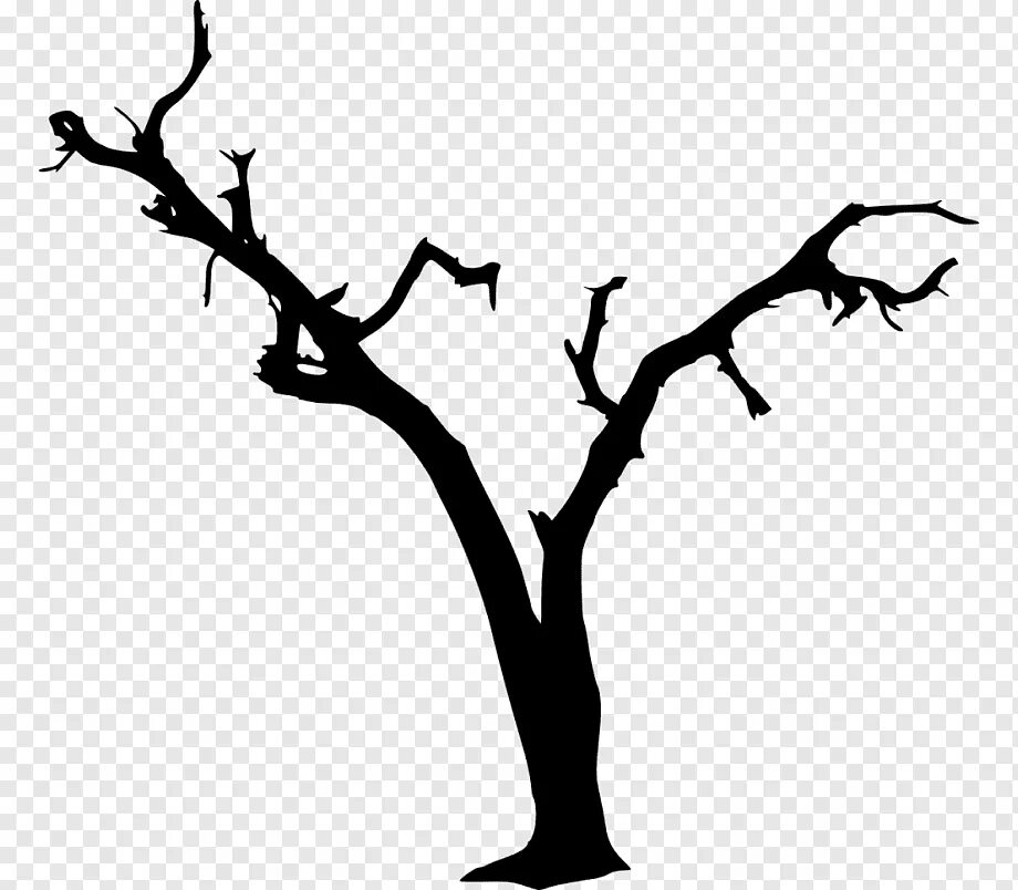 Empty branch