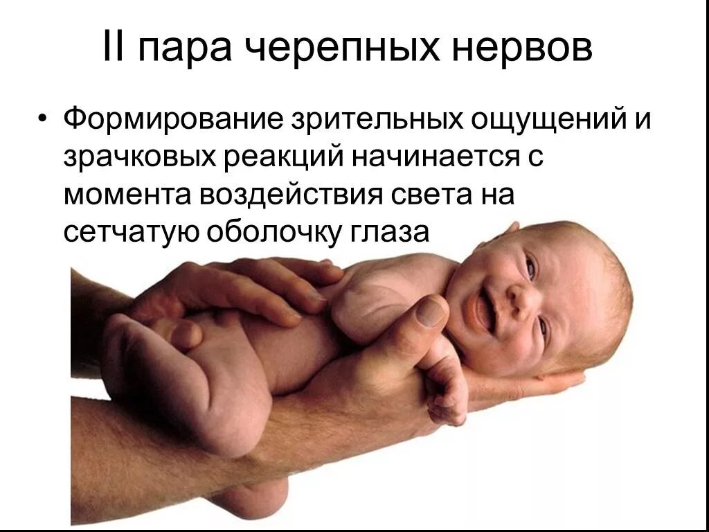 Формирование зрительного ощущения. Формирование зрительных ощущений. происходит формирование зрительного ощущения. зрительные ощущения в психологии. психологические особенности зрительных ощущений.
