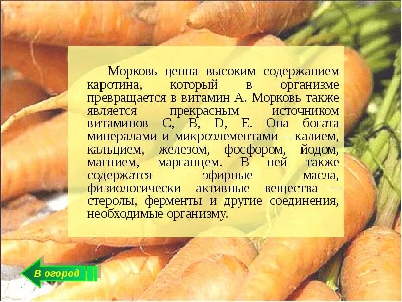Какие витами в морковке. Морковь источник витаминов. Морковь полезна для зрения. Полезные витамины в моркови. Витамины содержащиеся в морковке.