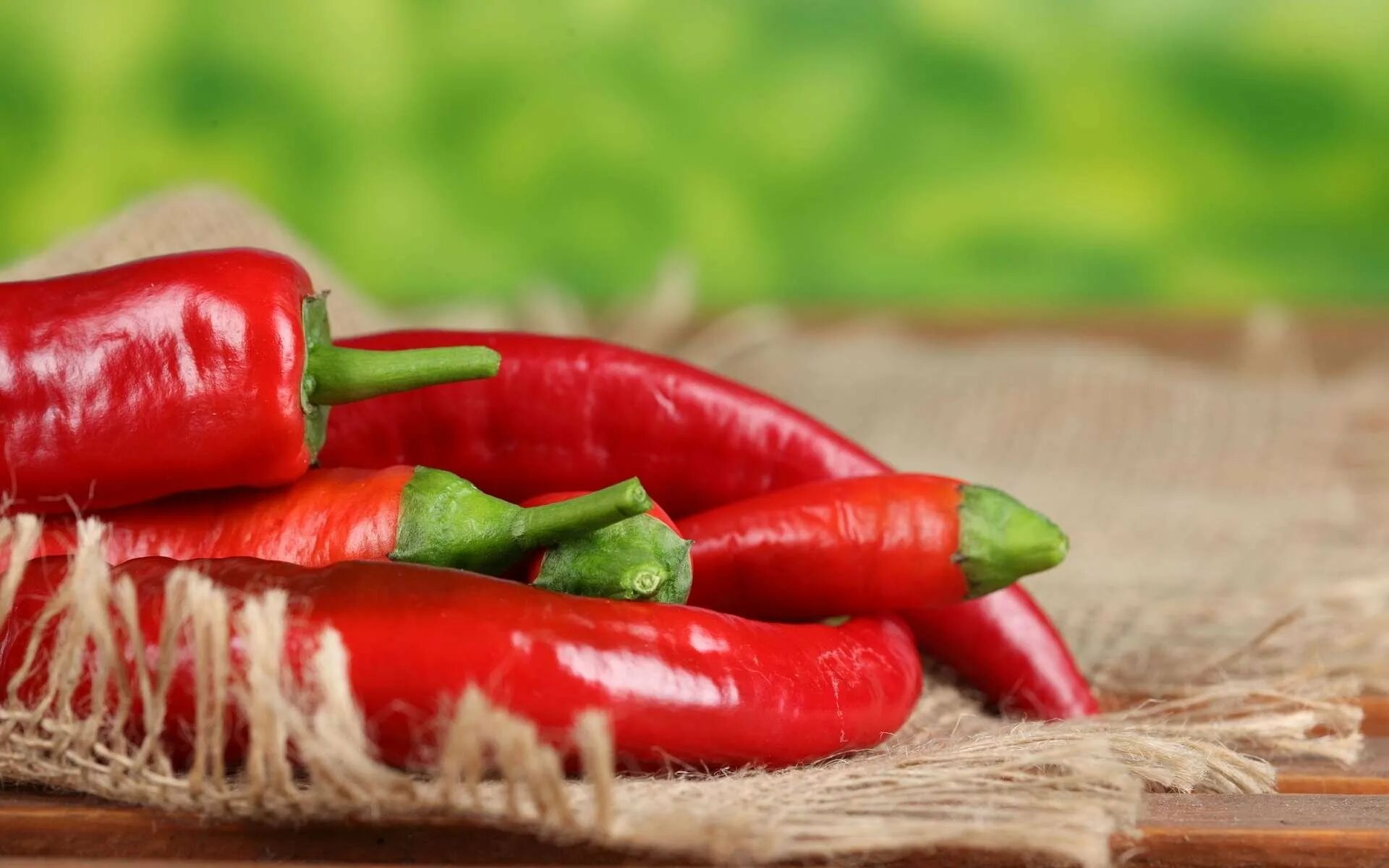 Красный перец фото. Перец красный чили 100г 40шт перцов. Перец грета f1. Перец чили. Красный перец паприка.
