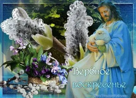 Живые картинки воскресенье