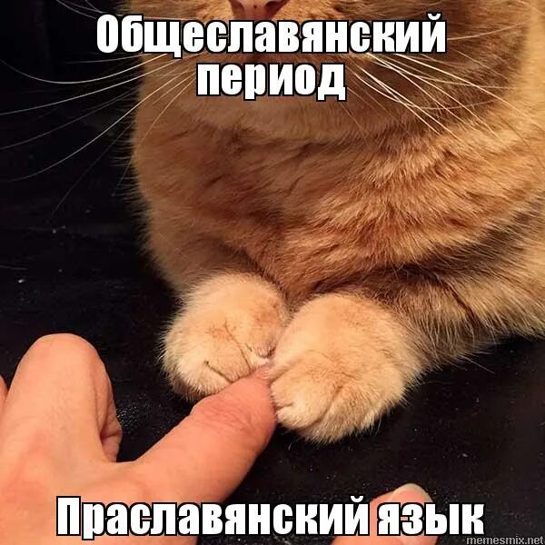 Знак двигатель не запускать работают люди. Пускай работает железная пила не для работы. Опаздаk yf hf,jne демотиватор. Не пущу работать. А пусть работает железная пила не для работы меня мама родила.