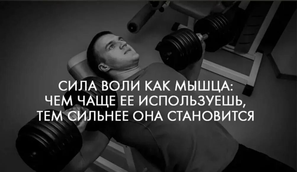 Мысли сильной воли. Фразы про силу. Цитаты про силу воли. Афоризмы про силу духа. Высказывания о силе воли.