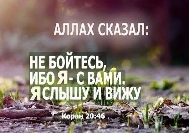 Верь в всевышнего