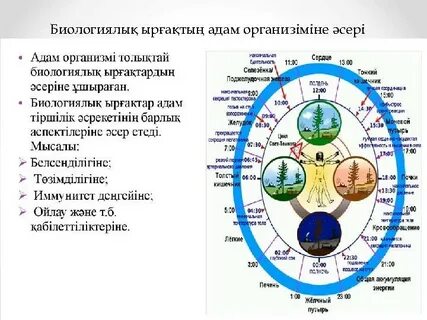 Әйелдер аузына иіседі