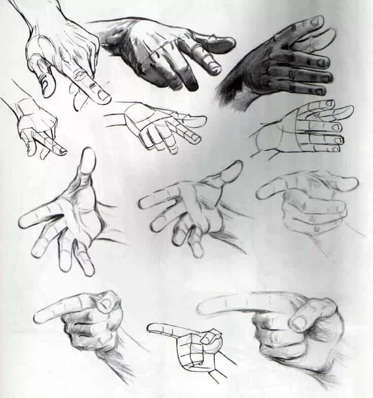 Уроки рисования рук. Кисть руки. Рука рисунок. Кисти рук для рисования.