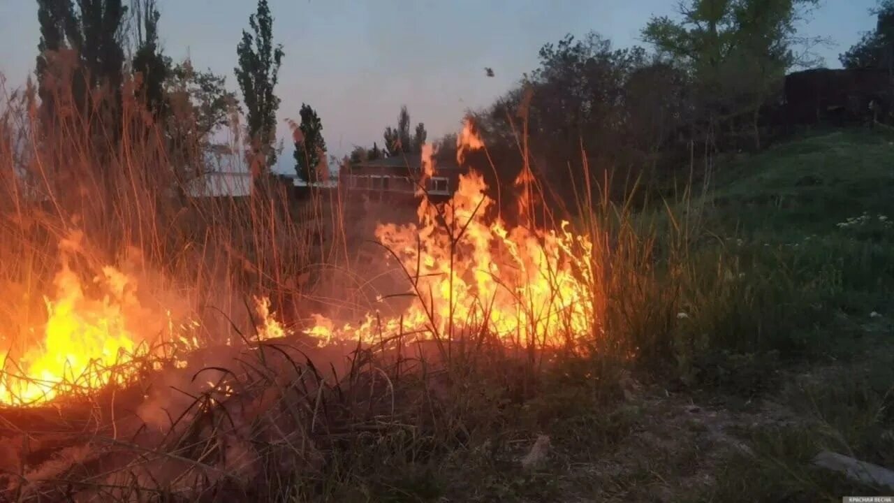 Горит где то в глубине