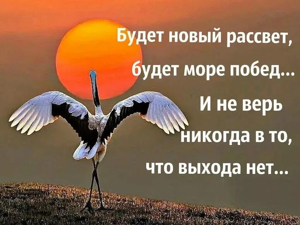 Как бы не била жизнь верю. Позитивные высказывания. Верь в лучшее афоризмы. Открытки верь в лучшее. Верьте в хорошее картинки.