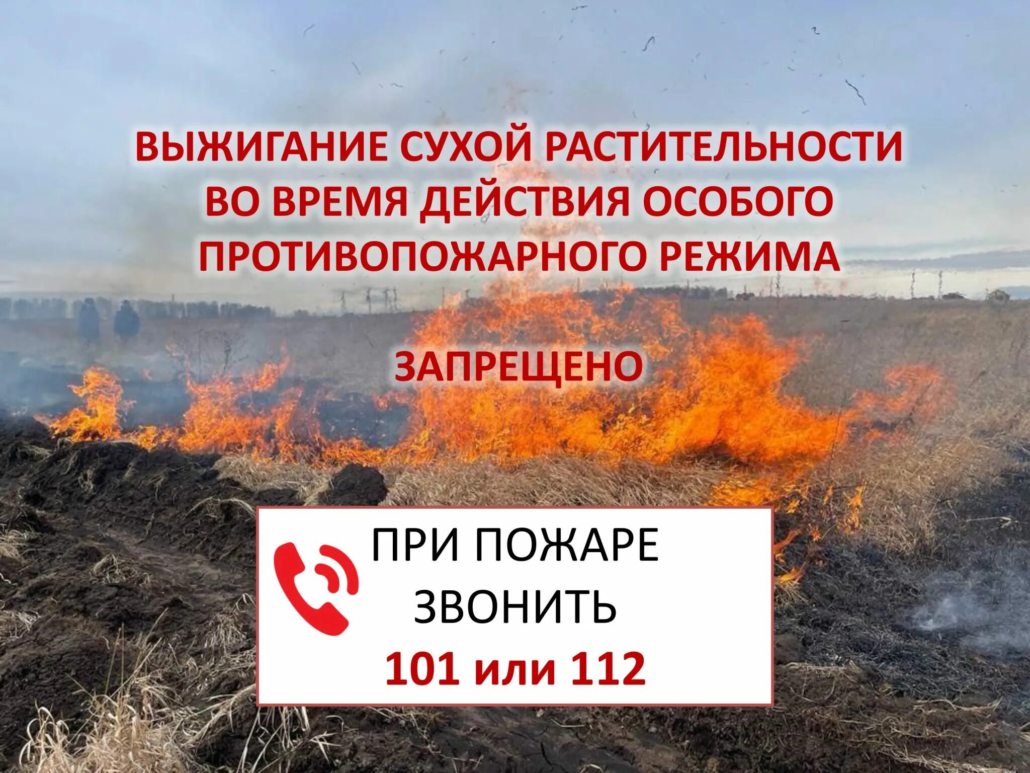 особый противопожарный режим на территории. особый противопожарный режим на территории. особый противопожарный режим на территории. особо опасный противопожарный режим. особый противопожарный режим на территории.
