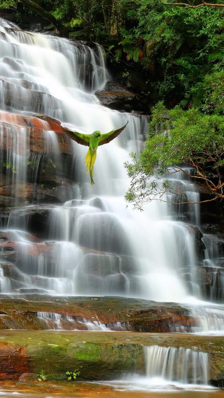 Водопад Дяошуйлоу. Красивые водопады. Пейзаж водопад. Красивый водопад на рабочий стол. Закачать ее на телефон
