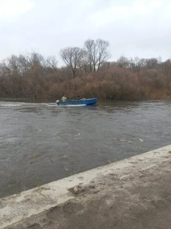 Почему поднимается уровень воды. Затопленный мост в Чекалине Тульской области. Затопило мост в Чекалине Тульской области. Разлив в Тульской области. Тула разлив реки.