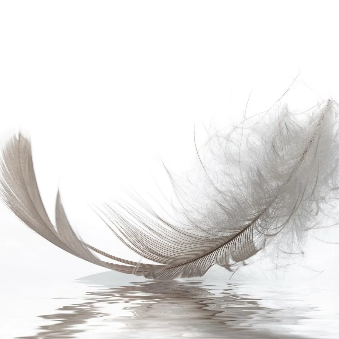 Feathering his own