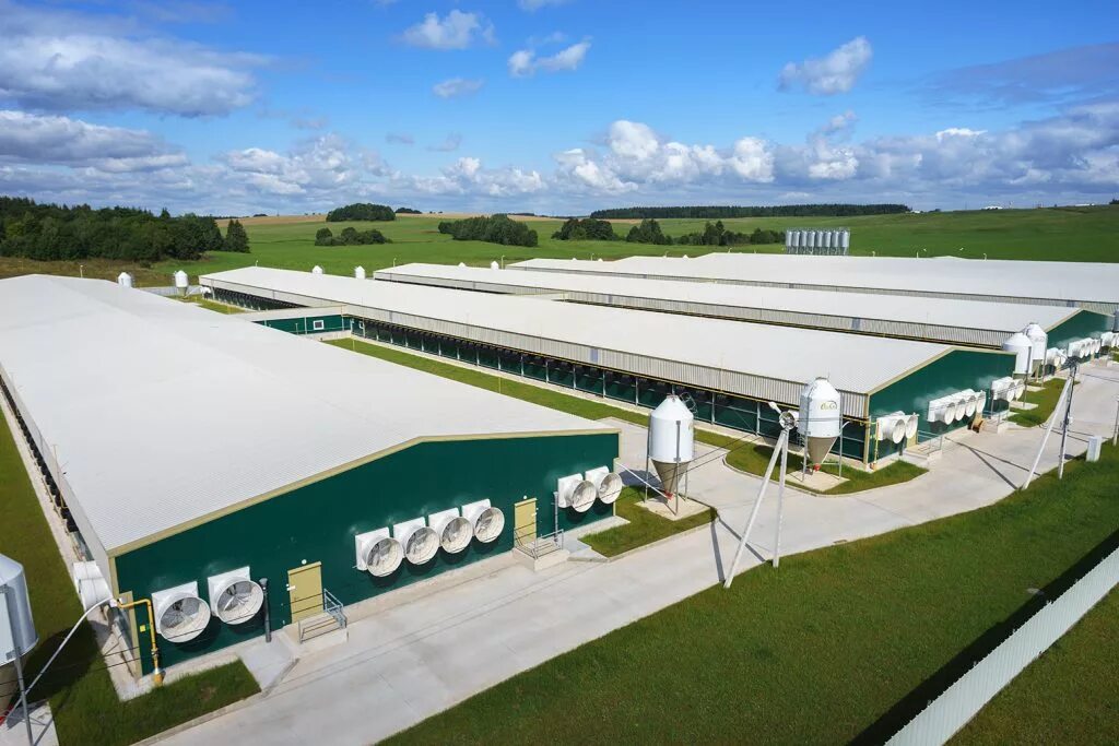 молочный комплекс лаврики. свиноводческие комплексы тропарёво-сычевка. свиноводческие фермы и комплексы. современная свиноферма. ферма крс агроэко.