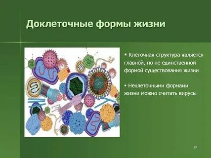Что относится к неклеточным