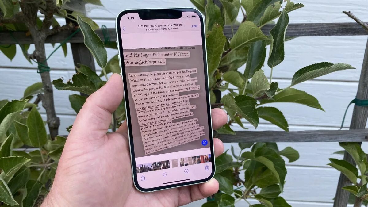 Копирование текста с фото IOS 15. Как выбрать текст на фото IOS 15. IOS 15 распознавание текста. Как Копировать текст с фото IOS 15