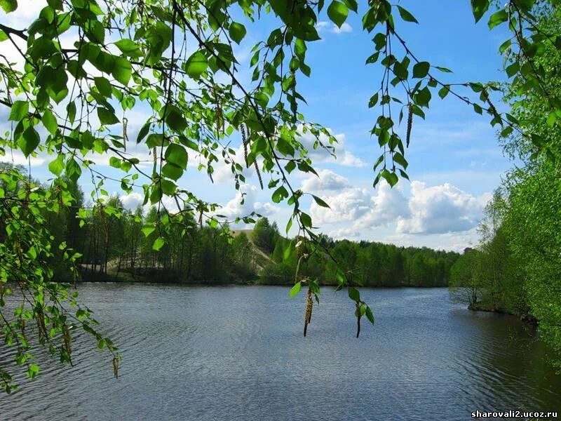 Березки водохранилище