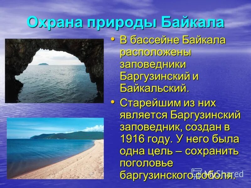 Расскажите почему байкал считается уникальным явлением природы. Меры охраны озера Байкал. Охрана природы Байкала. Защитим природу Байкала. Защита озера Байкал презентация.